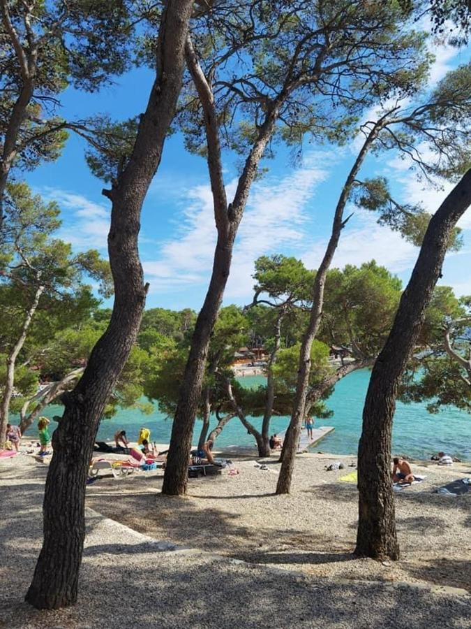 Mobile Homes Malu Biograd Na Moru Exteriér fotografie